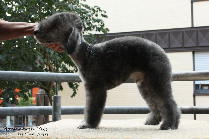 Antares 2009-08-01 & 02 (4).JPG